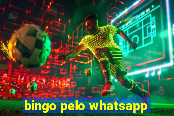 bingo pelo whatsapp